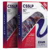 CSSLP exam dumps pdf
