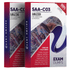 saa-c03 exam Dumps pdf