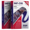 sap-c02 exam dumps pdf