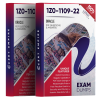 1z0-1109-22 exam dumps pdf