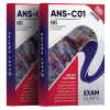 ans-c01 exam dumps pdf