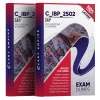 c_ibp_2502 exam dumps
